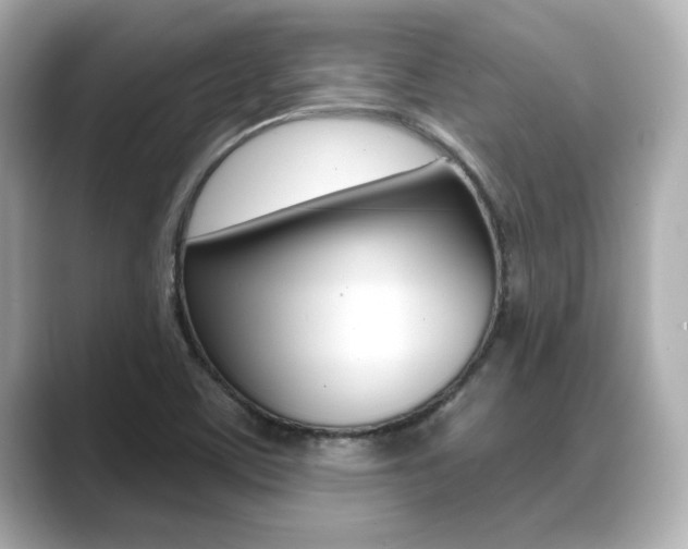 X0000089681459200706210804
