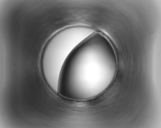 X0000089681460200706210804