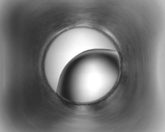 X0000089681461200706210804