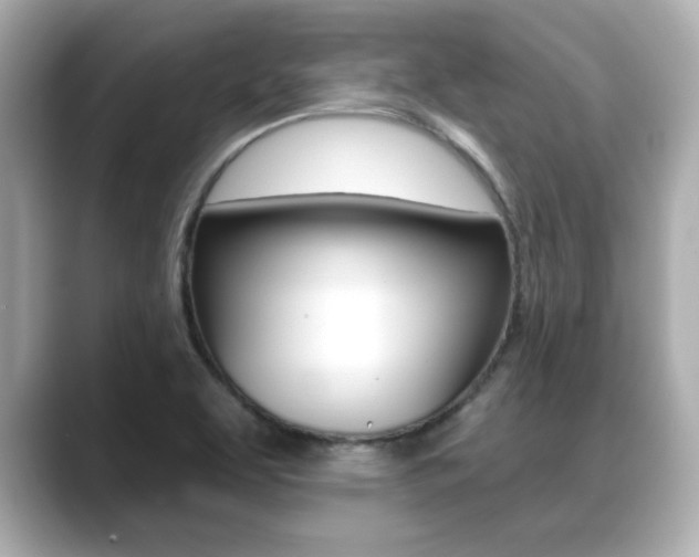 X0000089681463200706210804