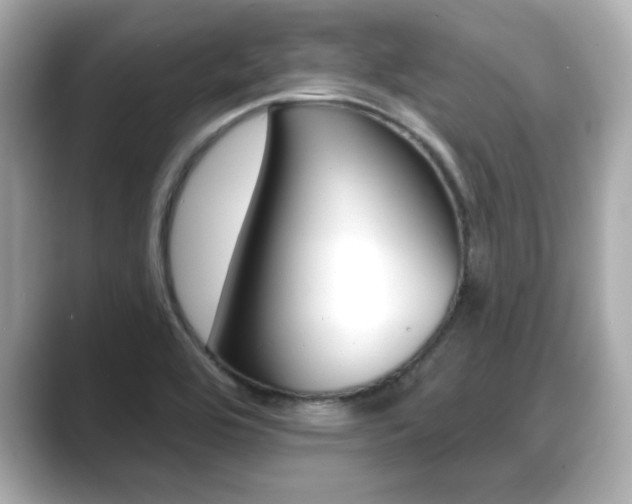 X0000089681464200706210804