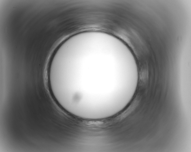 X0000089681466200706210804
