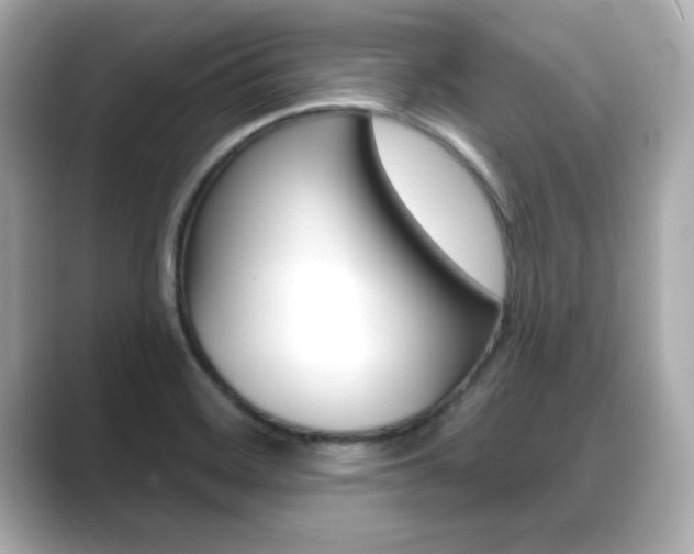 X0000089681468200706210804