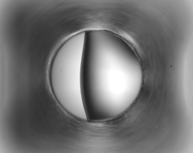 X0000089681472200706210804