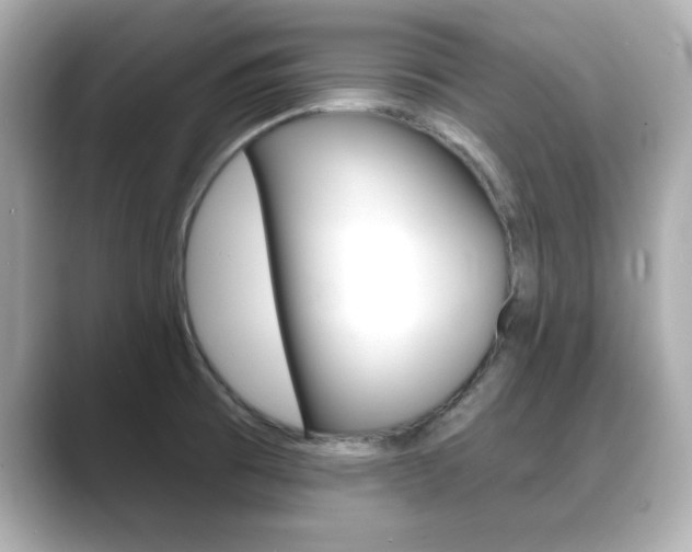 X0000089681473200706210804