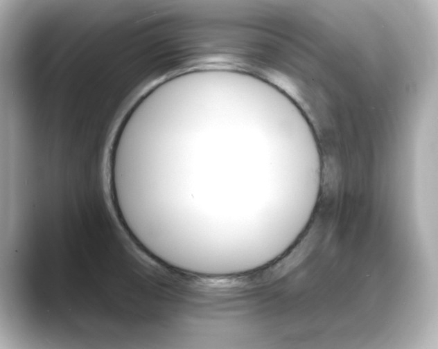 X0000089681474200706210804