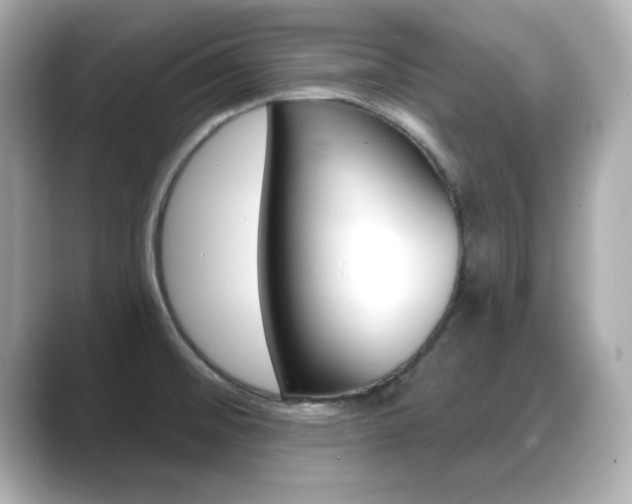 X0000089681476200706210804