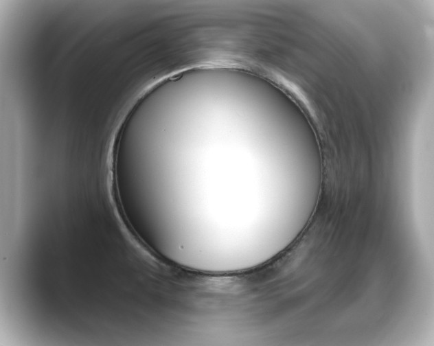 X0000089681479200706210804