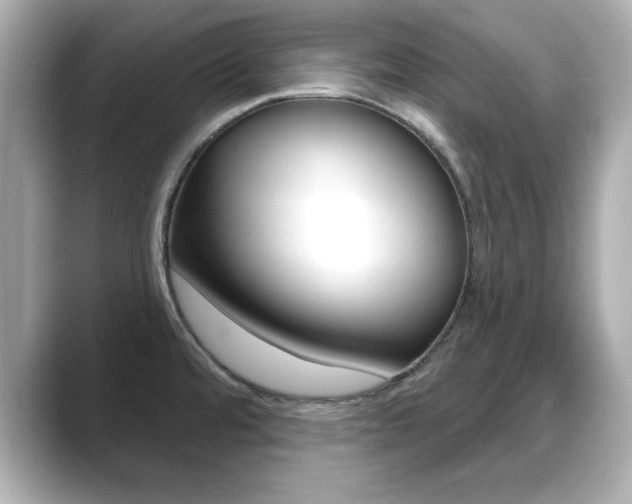X0000089681480200706210804