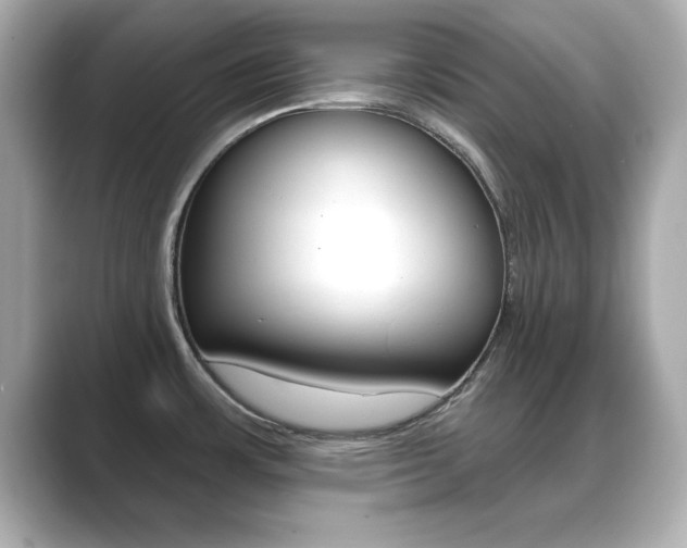 X0000089681483200706210804