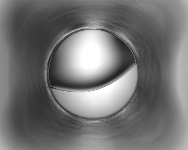 X0000089681484200706210804