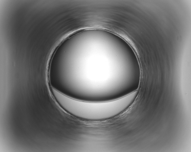 X0000089681485200706210804
