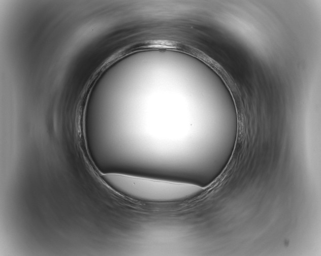 X0000089681487200706210804