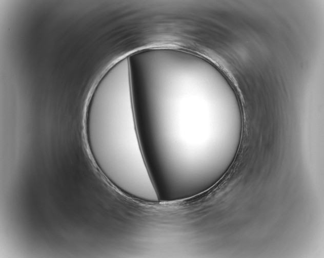 X0000089681488200706210804