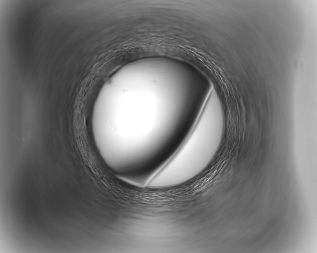 X0000089681489200706210803