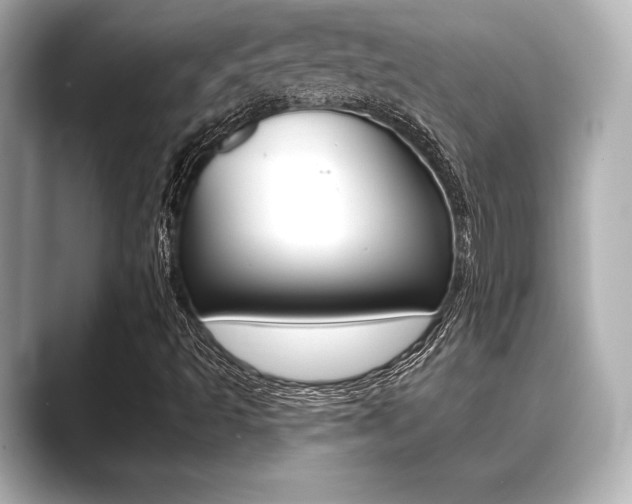 X0000089681493200706210803