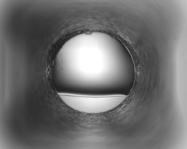 X0000089681495200706210803