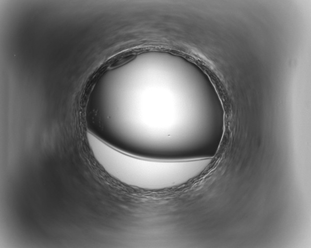 X0000089681496200706210803