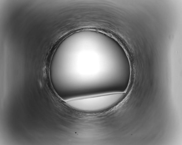 X0000089681497200706210803