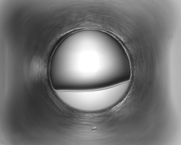 X0000089681499200706210803