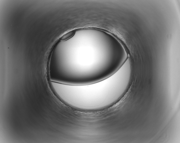 X0000089681500200706210803