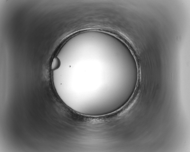 X0000089681501200706210803