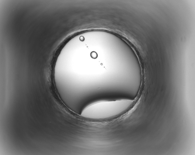 X0000089681502200706210803