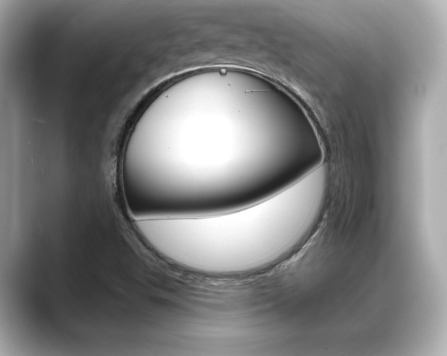 X0000089681503200706210803