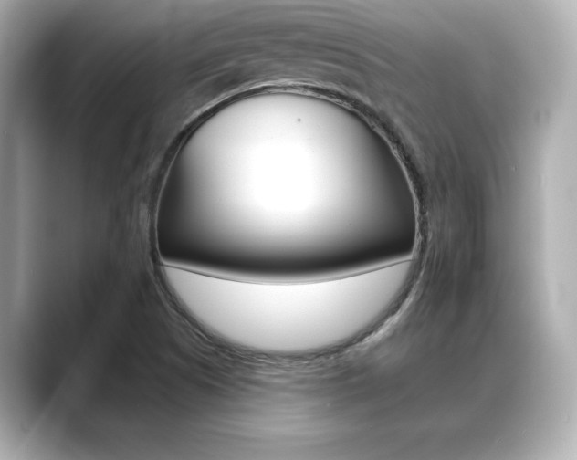 X0000089681505200706210803