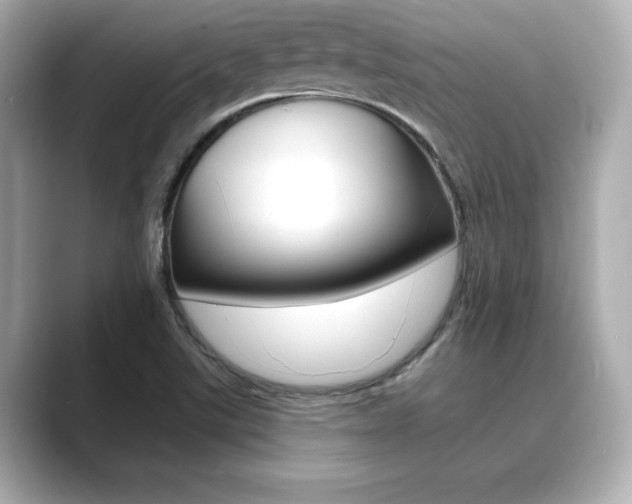 X0000089681507200706210803