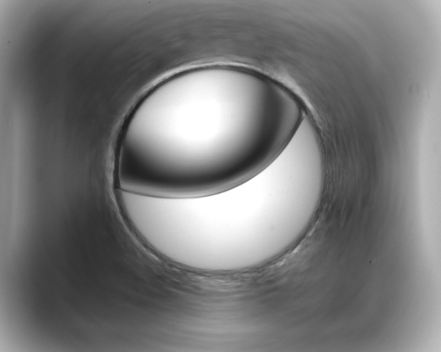 X0000089681508200706210803