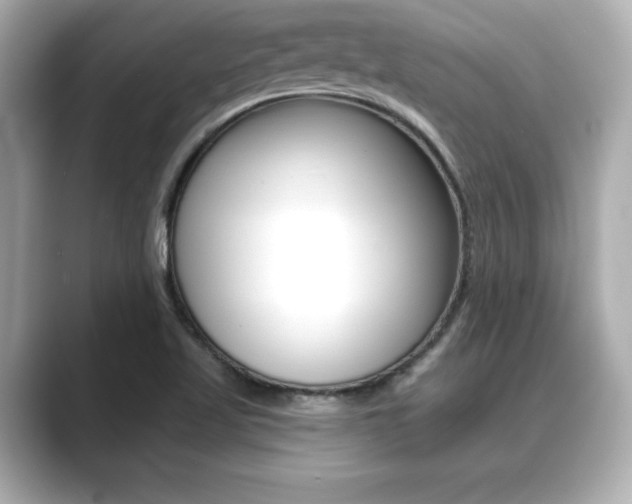 X0000089681509200706210803