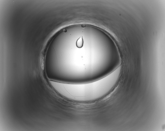 X0000089681510200706210803