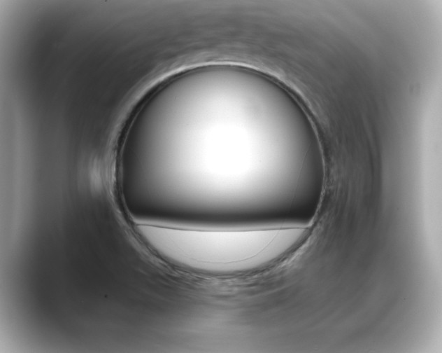 X0000089681511200706210804
