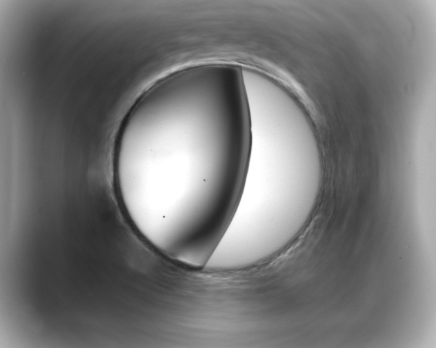 X0000089681512200706210804