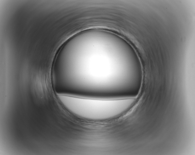 X0000089681513200706210804