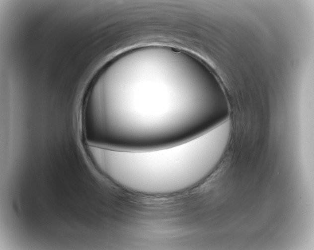 X0000089681515200706210804