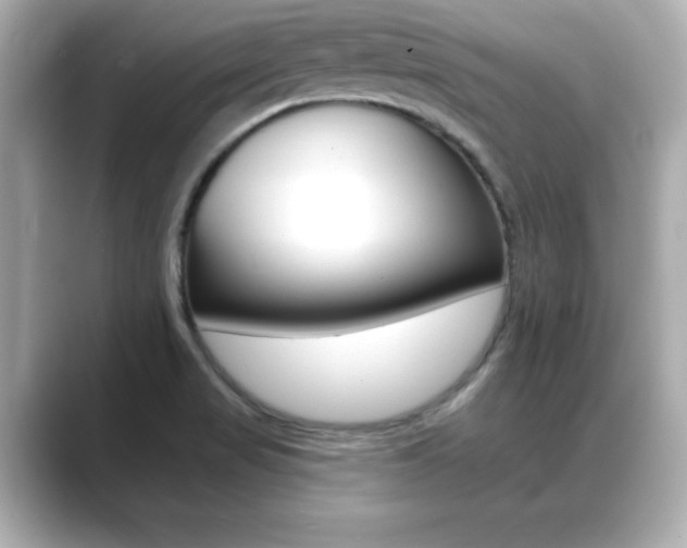 X0000089681517200706210804