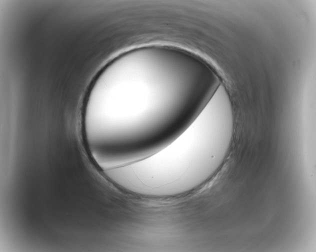 X0000089681518200706210804