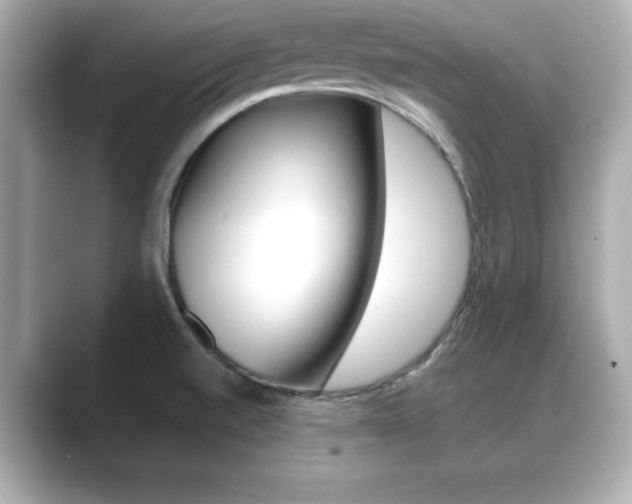 X0000089681520200706210804