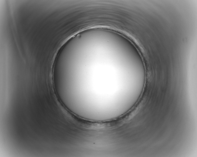 X0000089681521200706210804