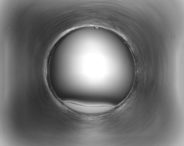 X0000089681523200706210804