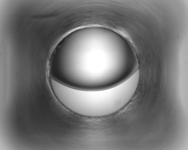 X0000089681524200706210804