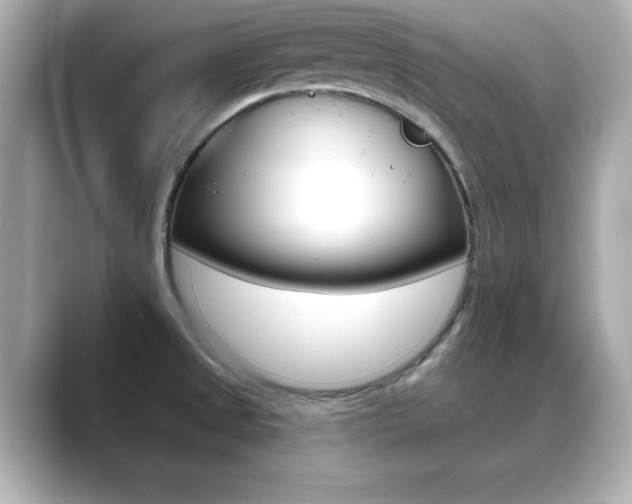 X0000089681525200706210804