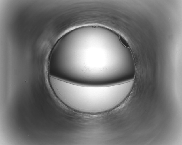 X0000089681526200706210804