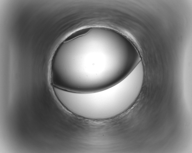 X0000089681528200706210804