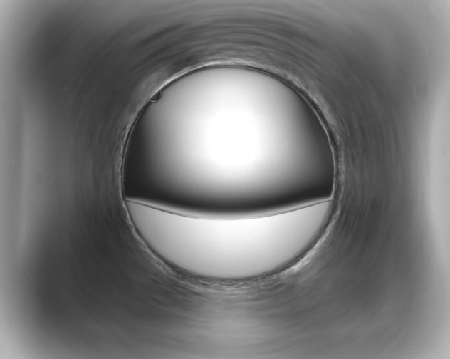 X0000089681529200706210804