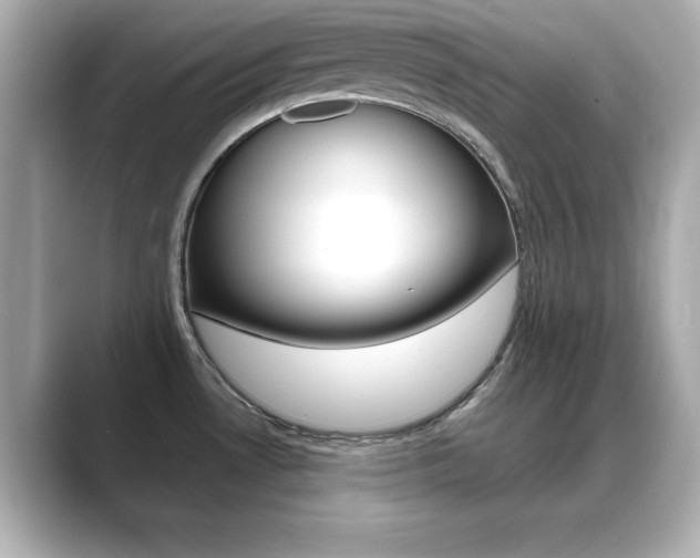 X0000089681530200706210804