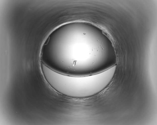 X0000089681532200706210804
