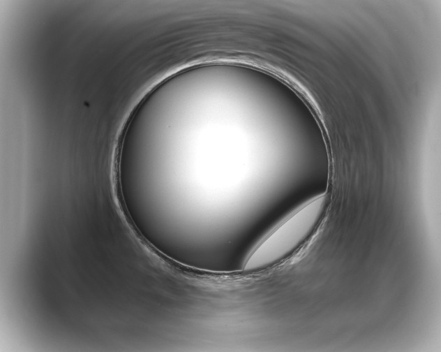 X0000089681533200706210804